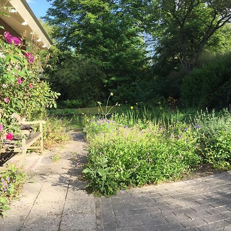 Huisje De Geluksvogel Zorgvlied Esterno foto