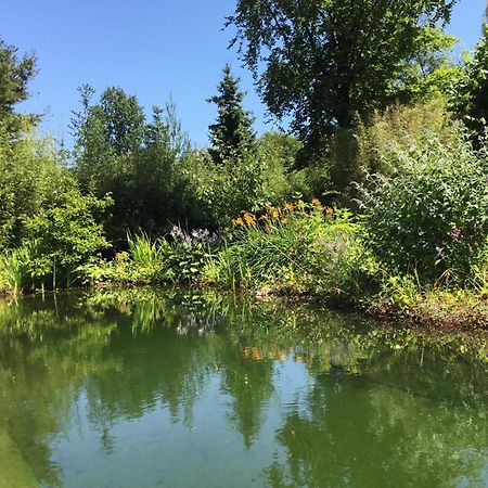 Huisje De Geluksvogel Zorgvlied Esterno foto