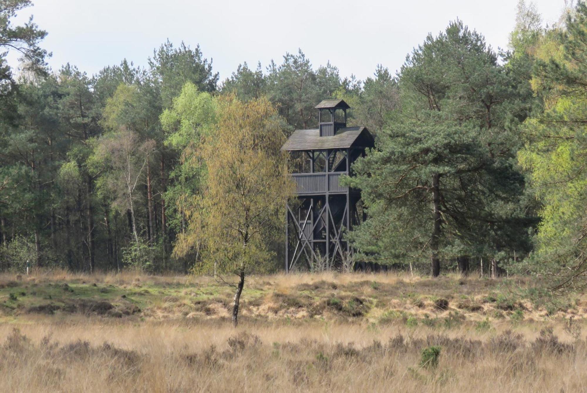 Huisje De Geluksvogel Zorgvlied Esterno foto