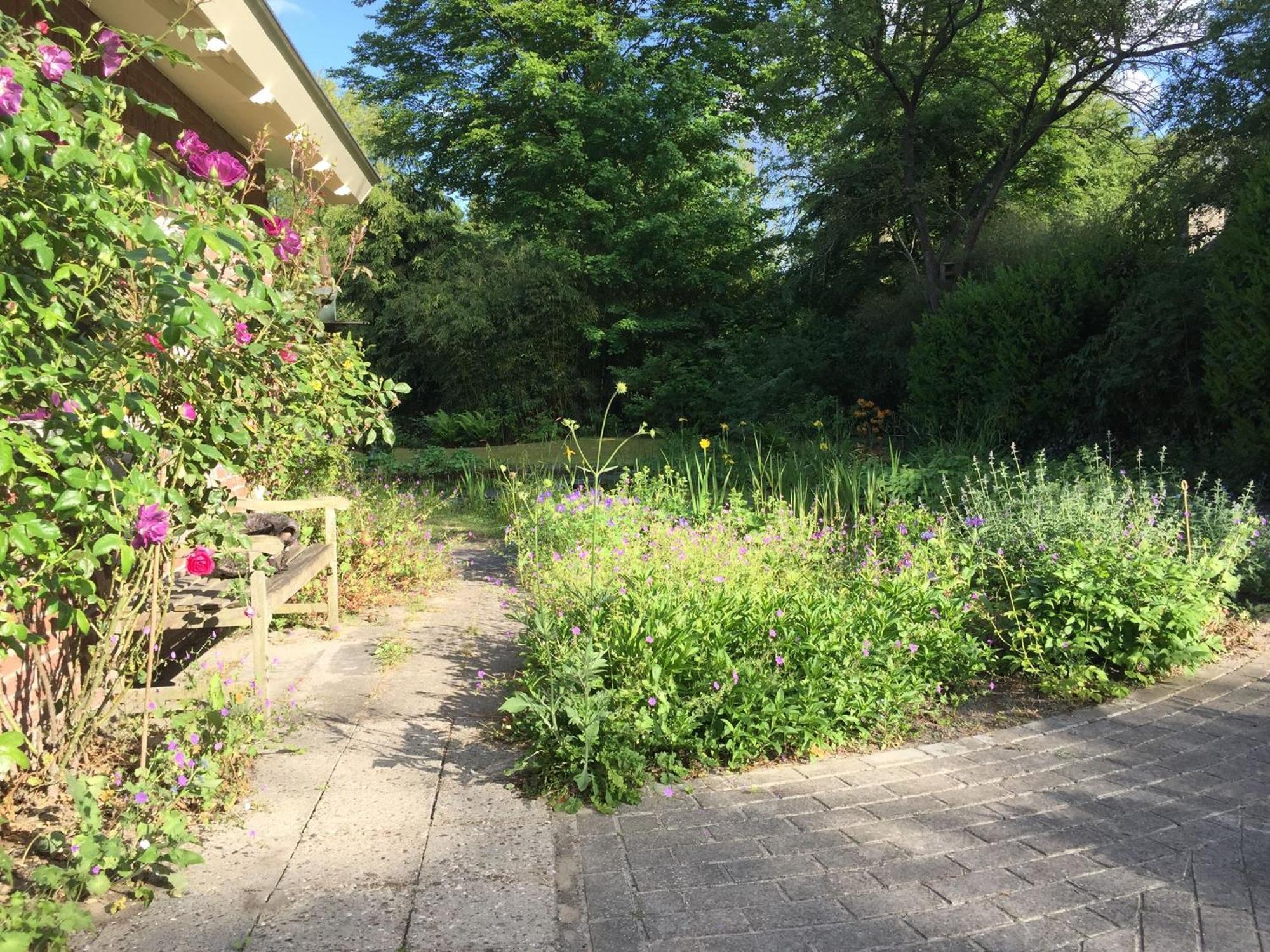 Huisje De Geluksvogel Zorgvlied Esterno foto